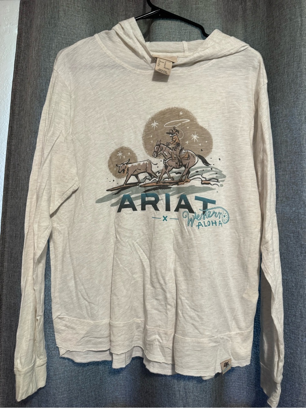 Ariat Cream Hoodie with Teal & Brown Western Graphic